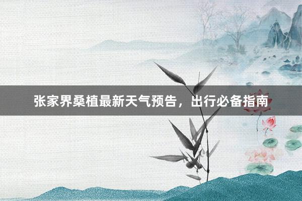 张家界桑植最新天气预告，出行必备指南